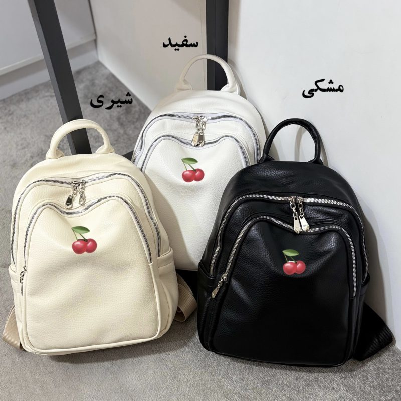 کوله پشتی دانشجویی مدل رایکا کد 0104 - تصویر 2